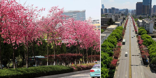 10bab268a58951cdcf06435a6af8b41 10bab268a58951cdcf06435a6af8b41