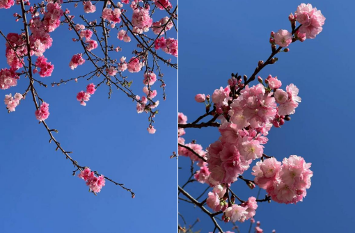 42e62cf96db18864669192141431c0a 42e62cf96db18864669192141431c0a