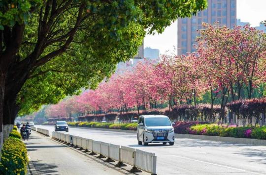 625b2159bd0ec67c187adf769b4592e 625b2159bd0ec67c187adf769b4592e