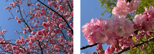 d49301add50900aed120f8371ff28aa d49301add50900aed120f8371ff28aa