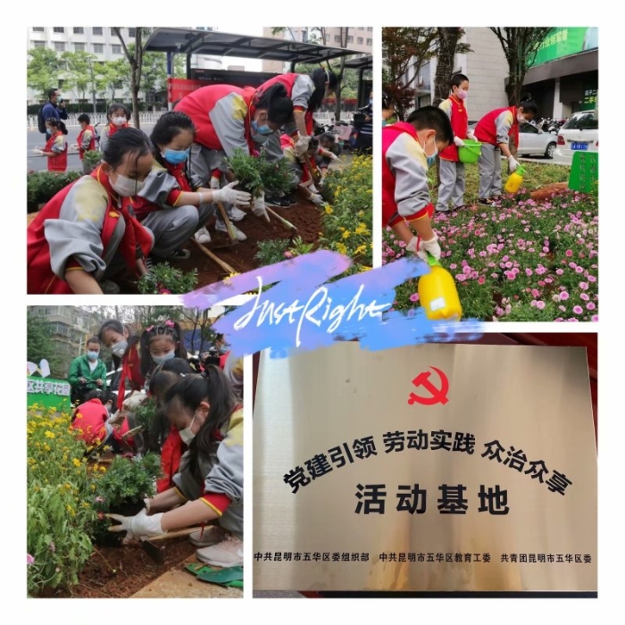 劳动实践—我是聂耳小花匠 劳动实践—我是聂耳小花匠