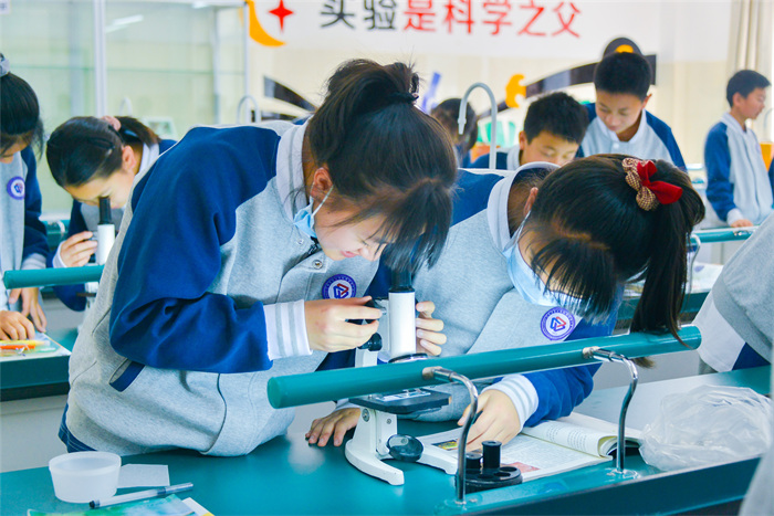 20210402-_DSC6542 20210402-_DSC6542