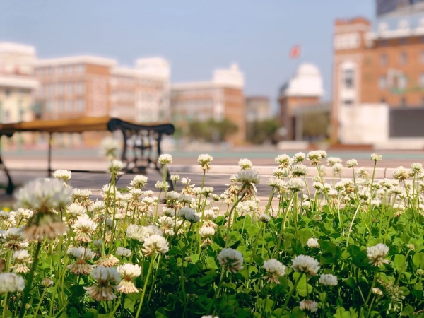 2daaf921-c102-4912-abcd-5f9e5b422189