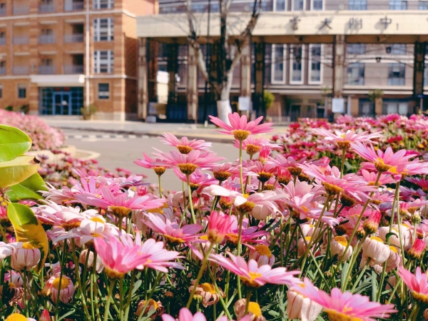 45088360-183f-41a2-bbe3-bf63eaa0d2dc