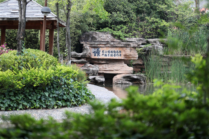 书院环境 书院环境