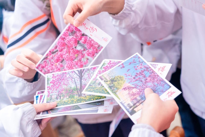 bedb87eb7d93e17e251a001c5077dee