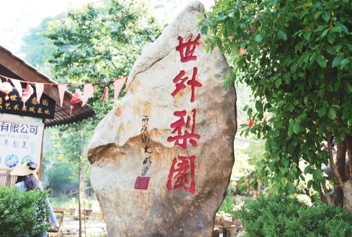 a436cccf5162d53b092d88fdaf76803