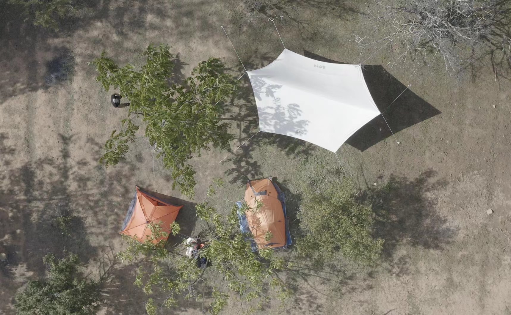 aada435745998feed6fc7a331c470cf