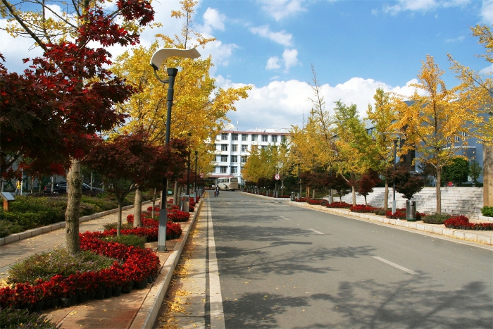 树人大道 树人大道