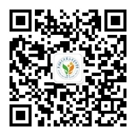 813245_260x195 813245_260x195