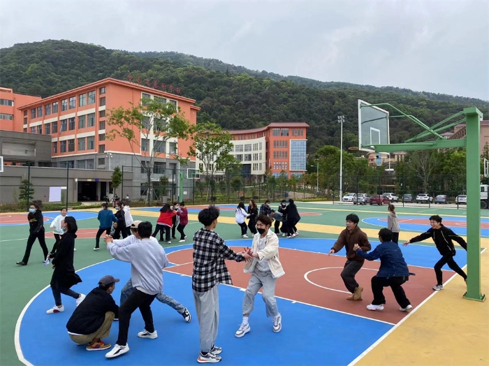 团体心理辅导 团体心理辅导