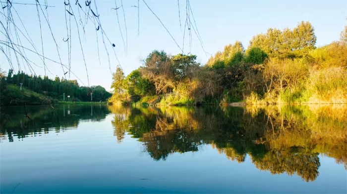 1859d9e5fe404551aa24163f1edeeb9c