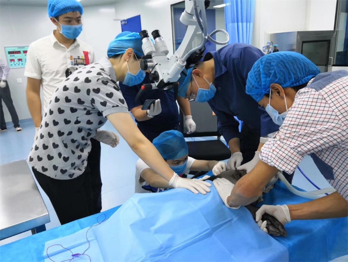 图片 1(1) 图片 1(1)