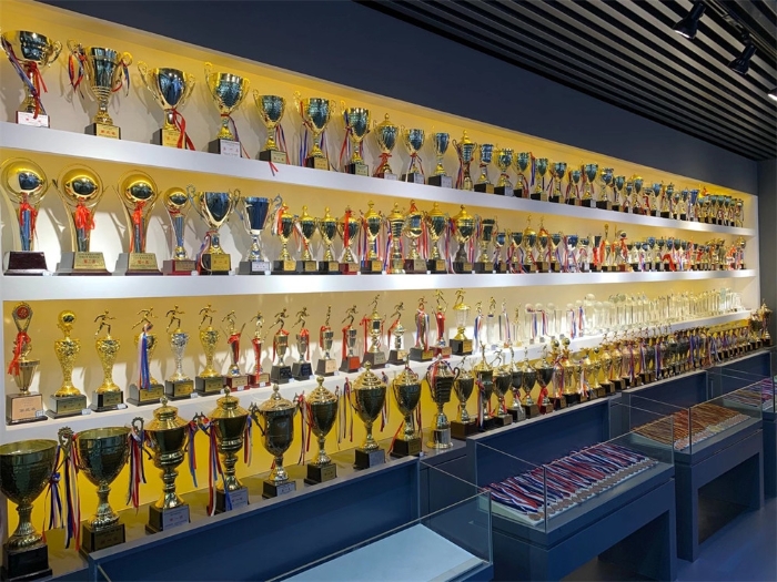 体育奖杯 体育奖杯