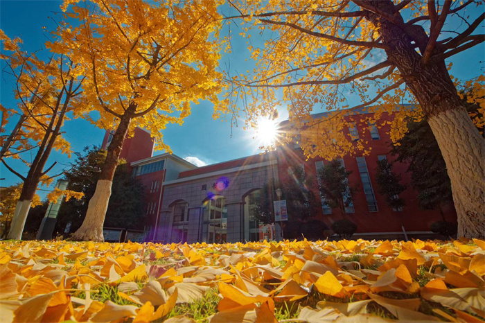 663b4c7c4bec958609459b8f3261d23 663b4c7c4bec958609459b8f3261d23