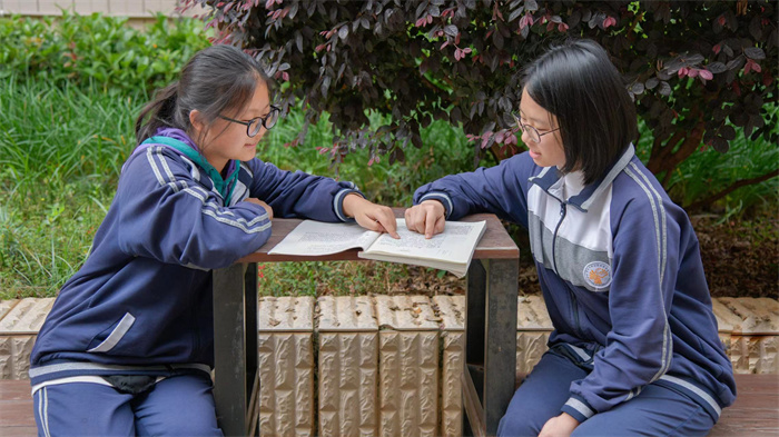 5597cd193a40f02aec81e03159f5f2a