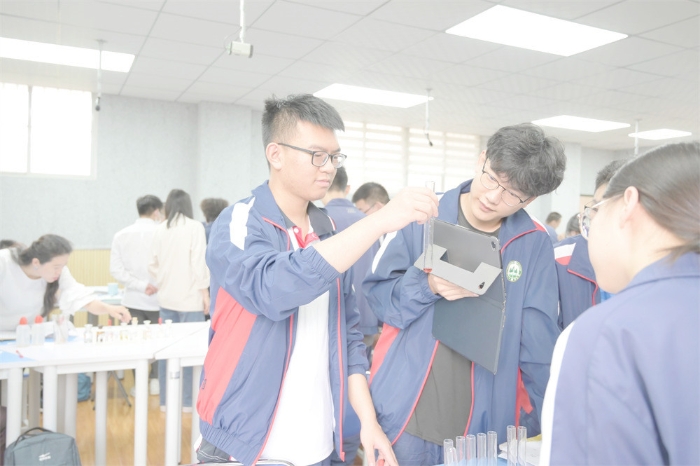 合作学习2 合作学习2