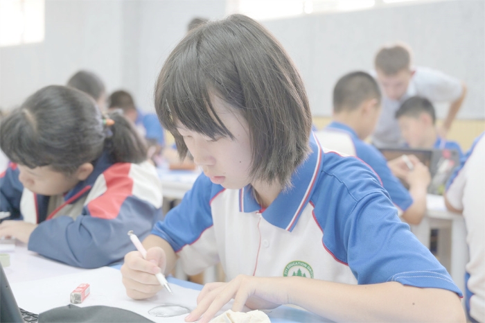 自主学习2 自主学习2