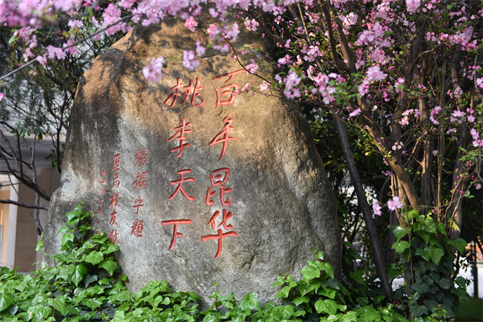 杨振宁题词石 杨振宁题词石