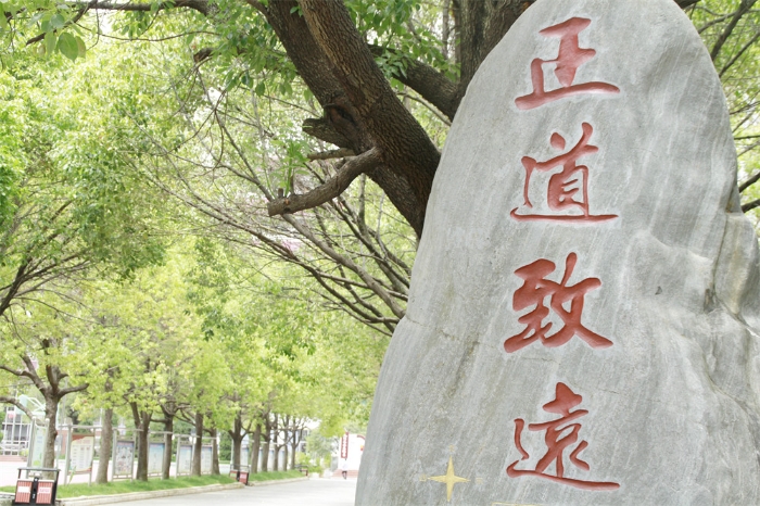 环城南路校区文化石