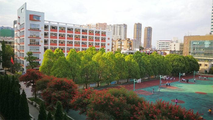 环城南路校区校园景观