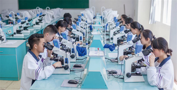 a1b7ca934e8c5aab64d8bd72d5de785