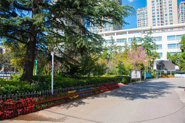 8d4c1e3e52cfb84005993eec386779a