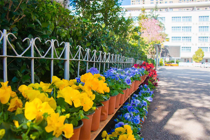 76791bf98592978831c36877c7934bc