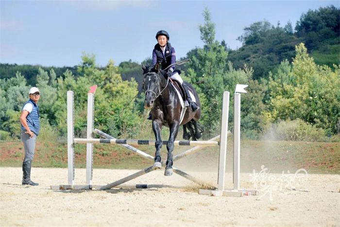 张羡茹同学获2020年10月云南省马术协会俱乐部玉龙湾杯马术公开赛青少年组地杆赛冠军与公开组80cm障碍赛亚军 张羡茹同学获2020年10月云南省马术协会俱乐部玉龙湾杯马术公开赛青少年组地杆赛冠军与公开组80cm障碍赛亚军