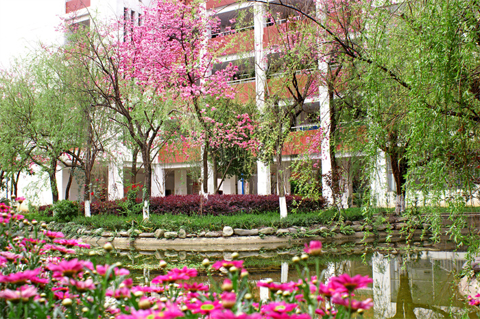 校园景色 (1) 校园景色 (1)