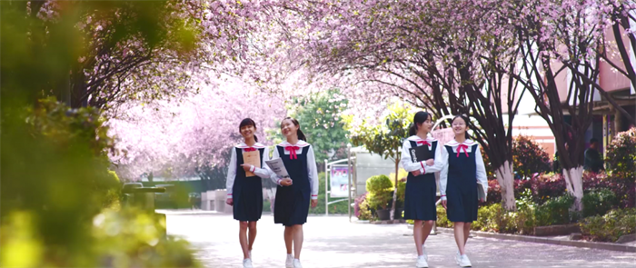 醉美校园1 醉美校园1