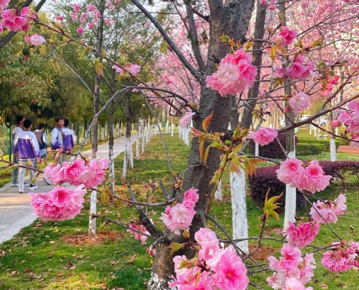 32aec798-f336-474d-b7cc-bdd4b73b22e1