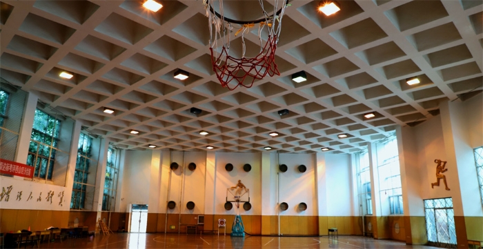 篮球馆2 篮球馆2
