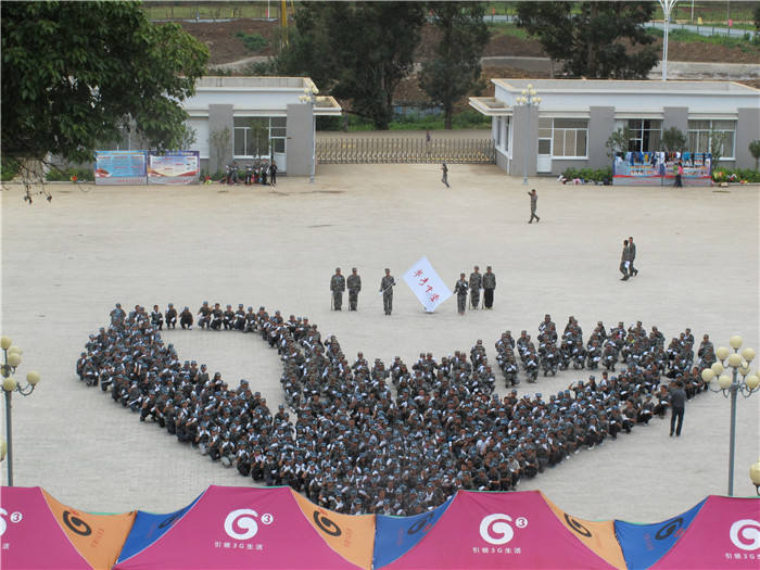 军训实践 军训实践