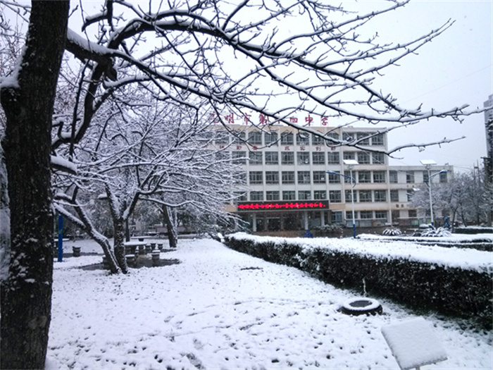 4cf749914e06b297 4cf749914e06b297