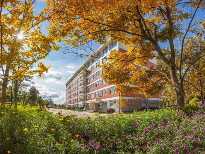 036226543370a7d81ade4d856c259d0