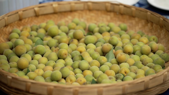 5dd859d073a45a33be6591616e30154