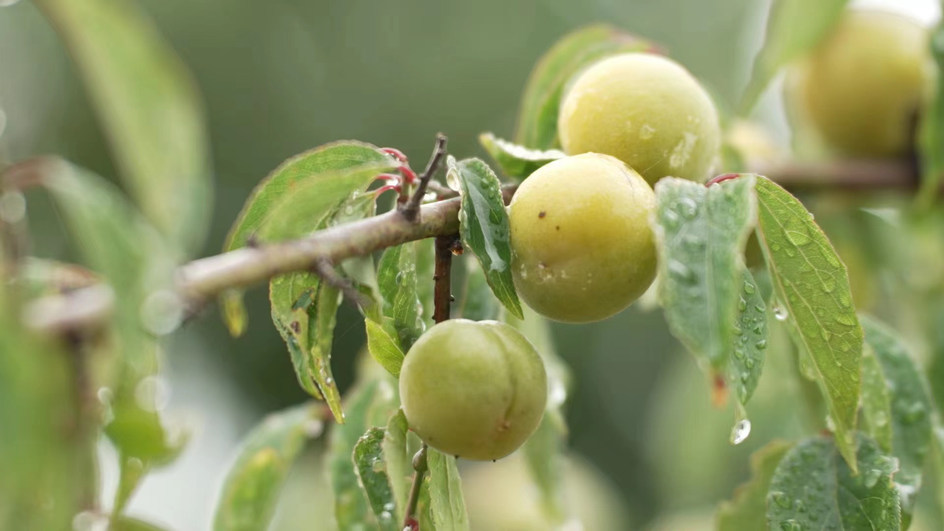 6cac7cb83bb8076f6e40ccadd598470