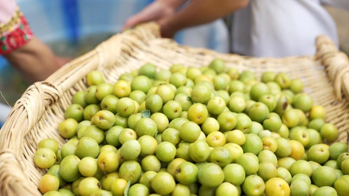 f2502ddb7b1276f4624bcc3708af75b