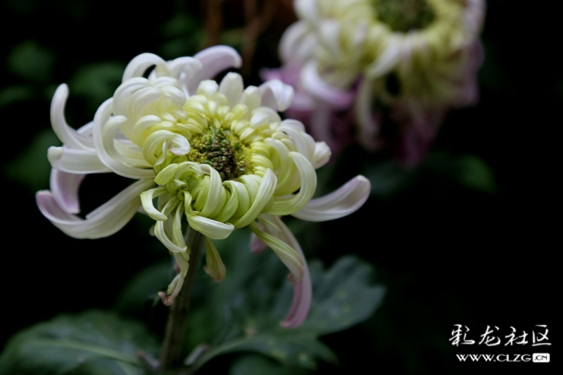 微信图片_202209290946401