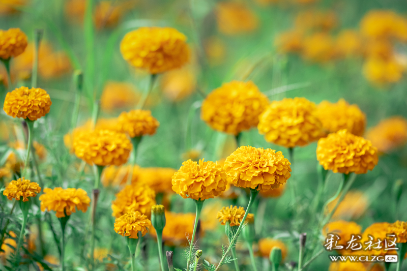 微信图片_202209290946404