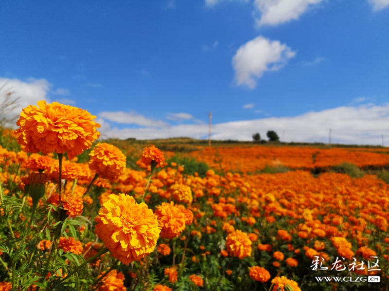 微信图片_2022092909464010