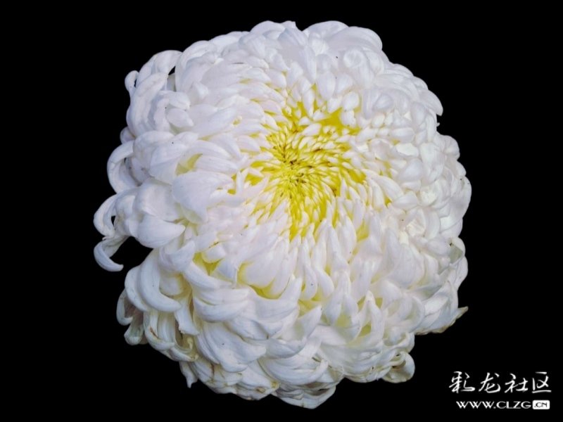 微信图片_202209290946406