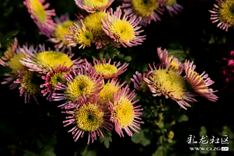 微信图片_202209290946402