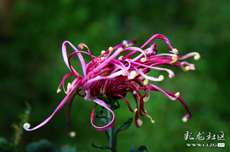 微信图片_202209290946403