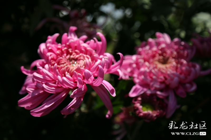 微信图片_202209290946408