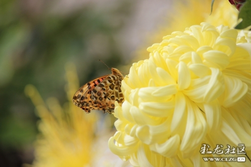 16656667905470013651180036129_5307