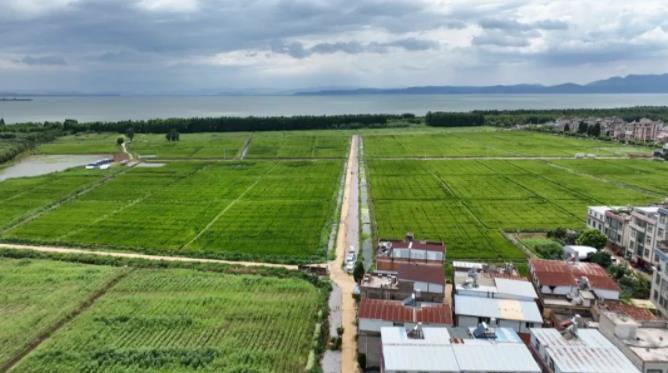 360截图17460417247045