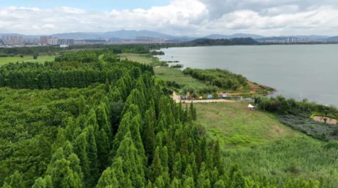 360截图16720402283668