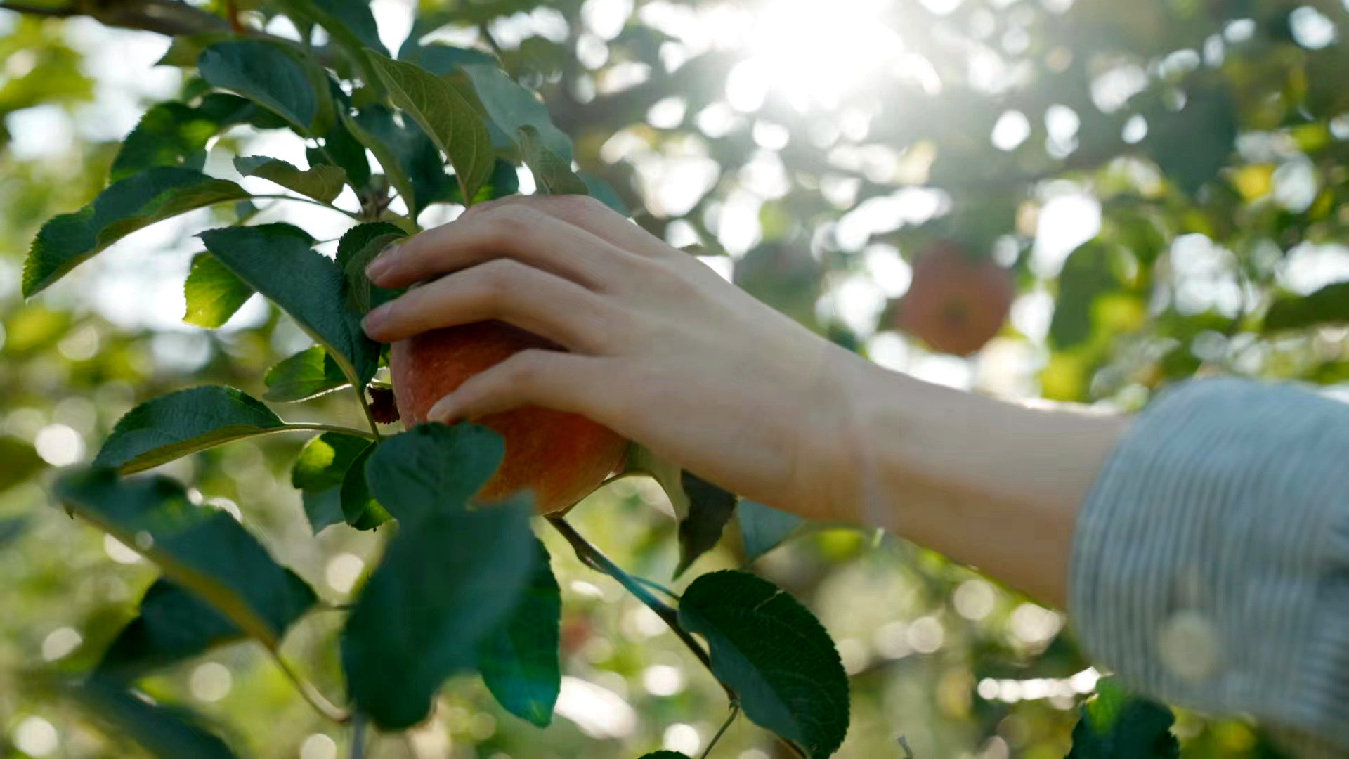 c4aa01155efa951fb6d7eb76aa994e8